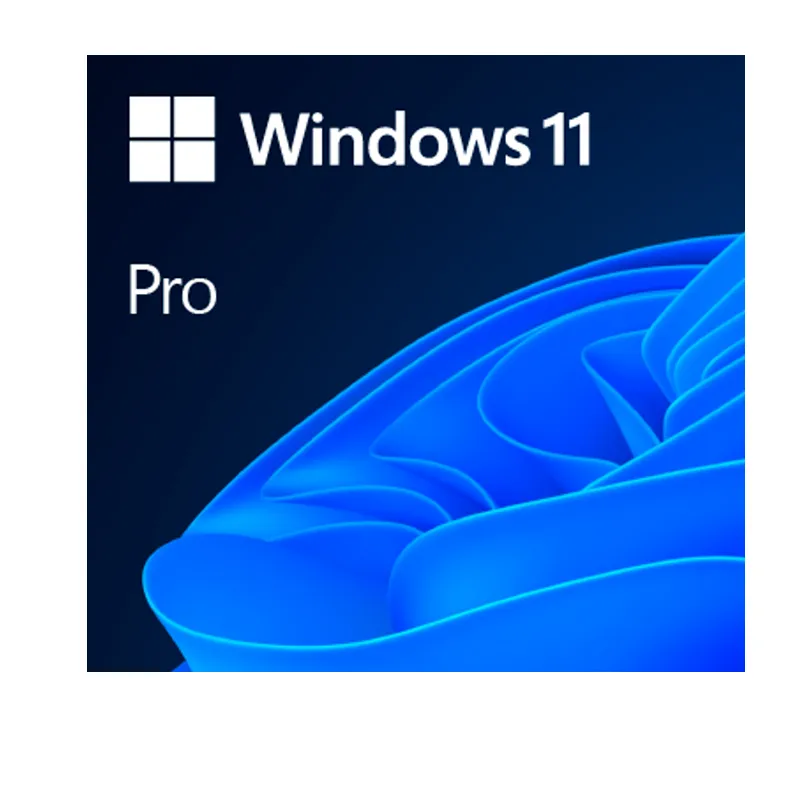 LICENCIA MICROSOFT WINDOWS 11 PRO 64BIT SPANISH LATAM 1PK DSP OEI DVD